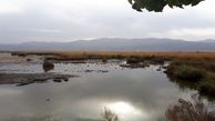 کاهش ۴۰ درصدی سطح آب دریاچه زریبار مریوان / نابودی بیش از ۲۰۰ هکتار از نیزارهای دریاچه