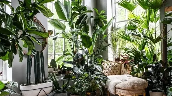 رشد گیاهان در کنار یکدیگر؛ رمز موفقیت طبیعت