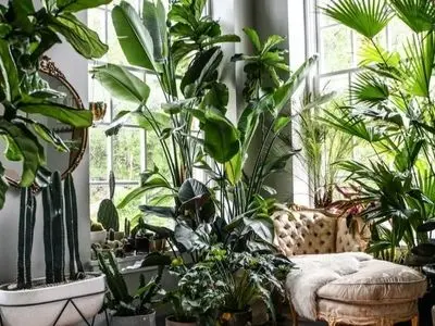 رشد گیاهان در کنار یکدیگر؛ رمز موفقیت طبیعت