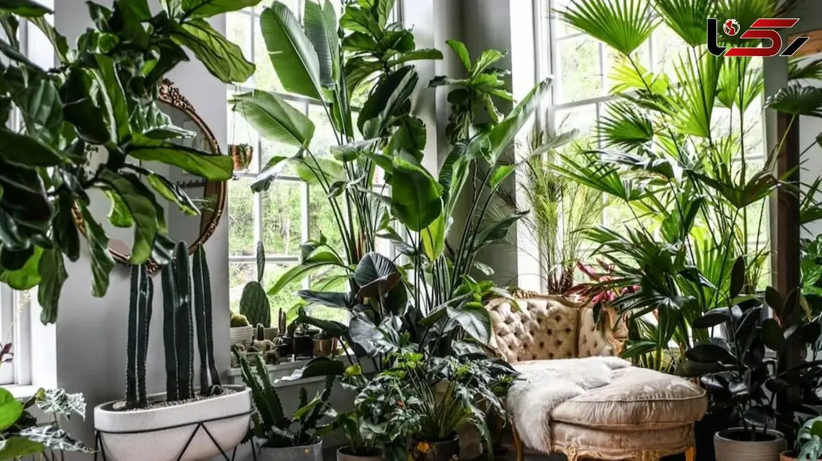 رشد گیاهان در کنار یکدیگر؛ رمز موفقیت طبیعت