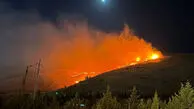 فیلم آتش سوزی هولناک در ارتفاعات دراک شیراز/ 50 آتش‌نشان برای مهار آتش به میدان رفتند + عکس