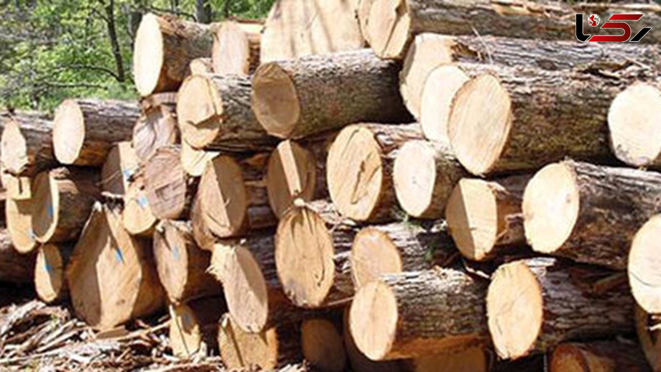 کشف 2 تن چوب جنگلی قاچاق در بهشهر