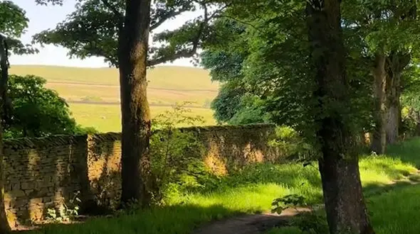 آرامش مطلق هدیه به شما 