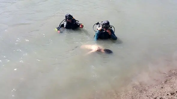 مرگ جوان طارمی در رودخانه