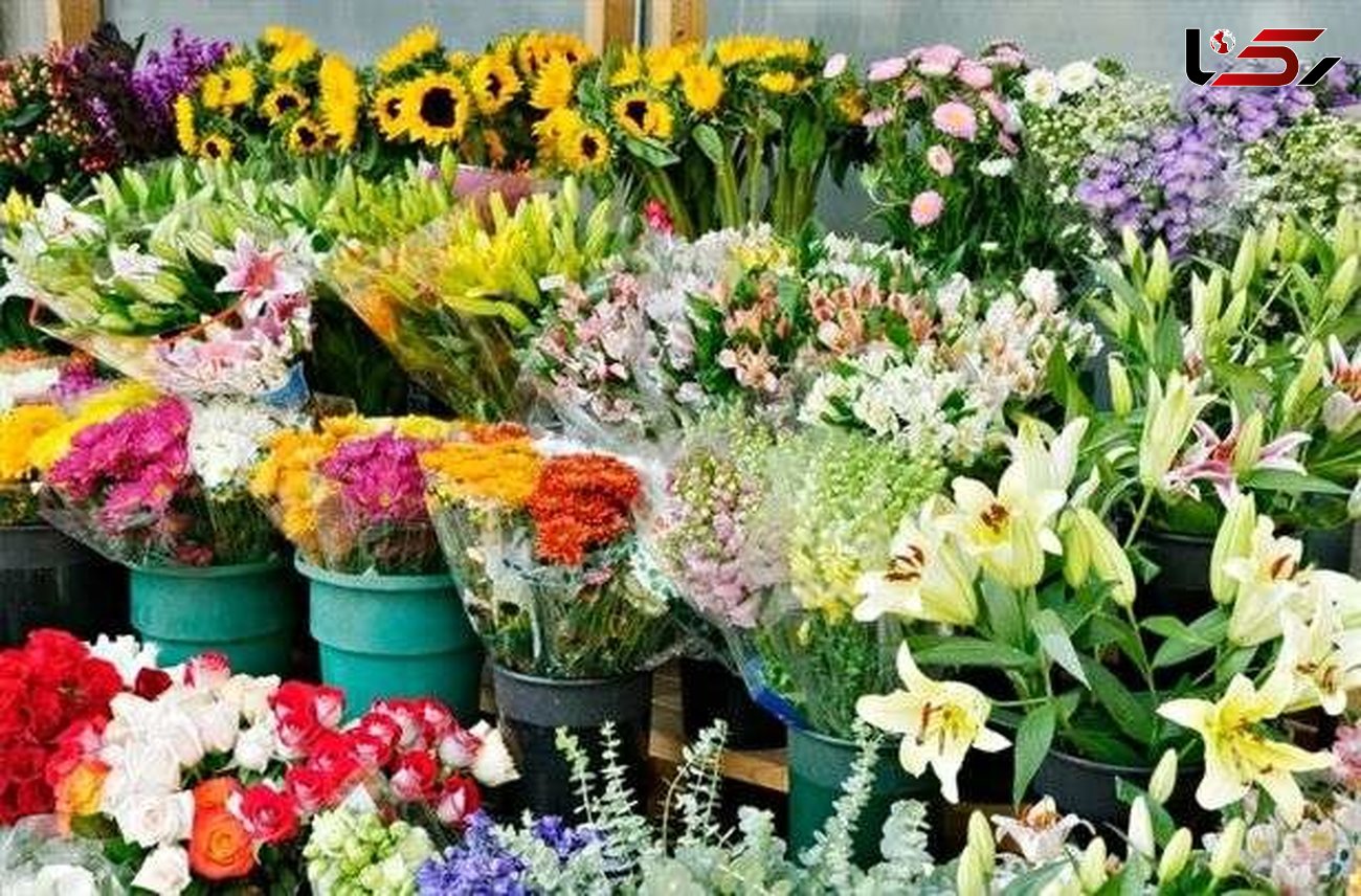 کاهش عرضه گل "سنبل"/ افزایش قیمت در آستانه نوروز