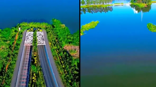 ببینید / وقتی تکنولوژی به کمک انسان می آید+ فیلم