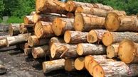 بررسی راهکار‌های پیشگیری از پدیده قاچاق چوب در گنبد