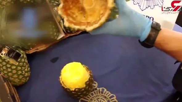 شگرد عجیب و غریب قاچاقچیان برای انتقال مواد مخدر + فیلم