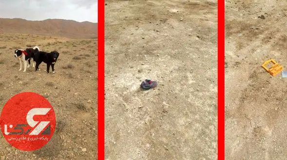 این 2 سگ ابراهیم کوچولو را 40 دقیقه زنده زنده خوردند + فیلم