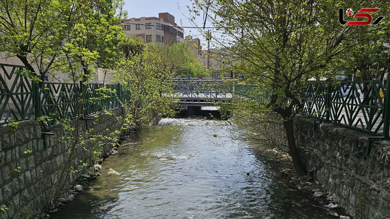 فال و طالع بینی روزانه 18 فروردین 1405