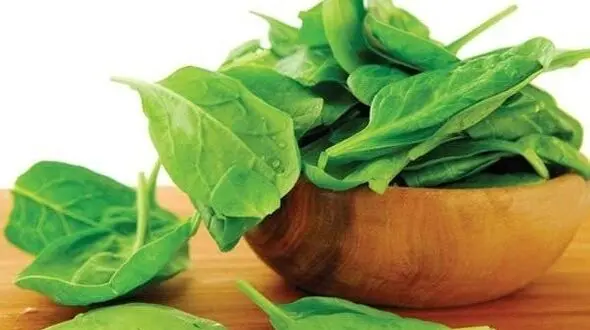 مواد غذایی گیاهی سرشار از آهن را بشناسید