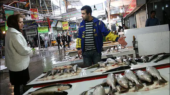 مرغ، ماهی ،تخم مرغ یکی پس دیگری گران شدند / مردم  گوشت را که فراموش کردند