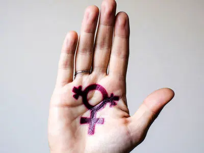 همه چیز درباره شیمیل ها؛ از معنا تا واقعیت