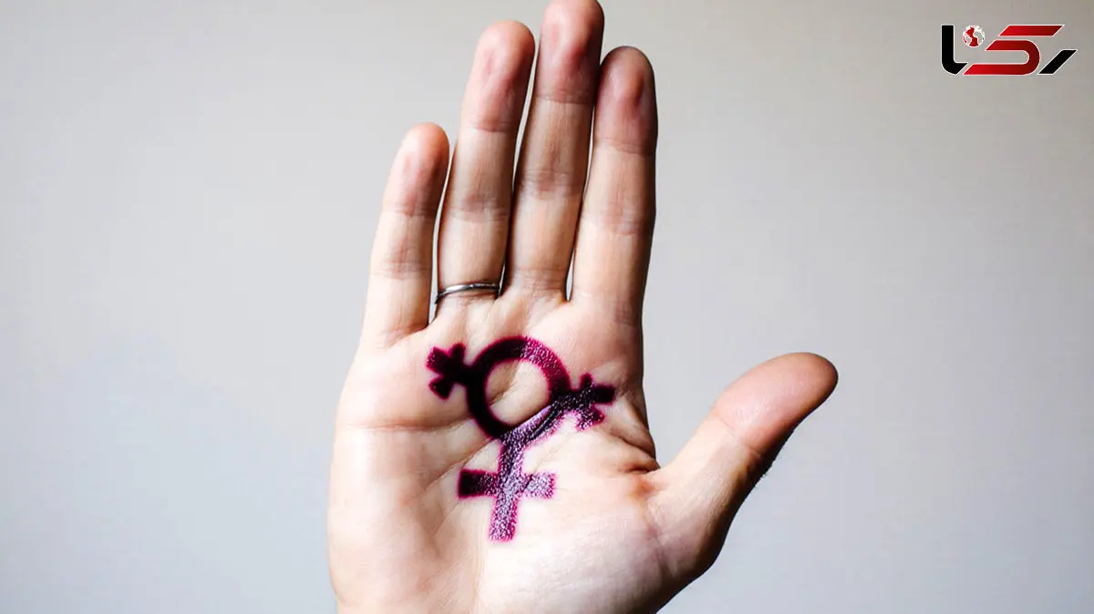 همه چیز درباره شیمیل ها؛ از معنا تا واقعیت