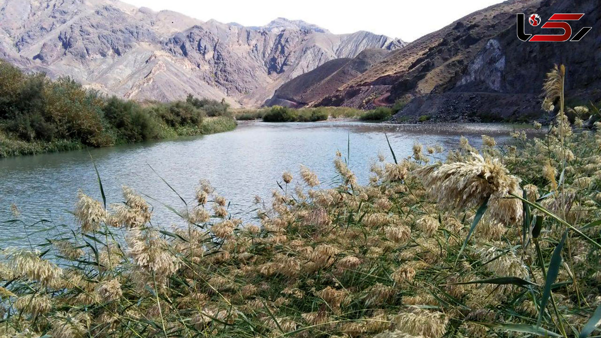 ببینید / طبیعت جذاب و دیدنی طارم + فیلم 