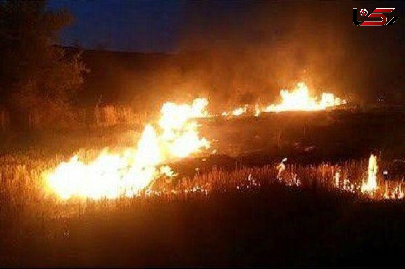 آتش سوزی هولناک در روستای مرادآباد و دهنوی علیا
