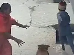 فیلم حمله وحشتناک سگ به کودک در هندوستان