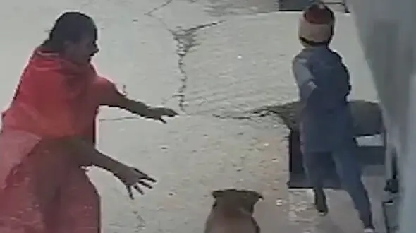 فیلم حمله وحشتناک سگ به کودک در هندوستان