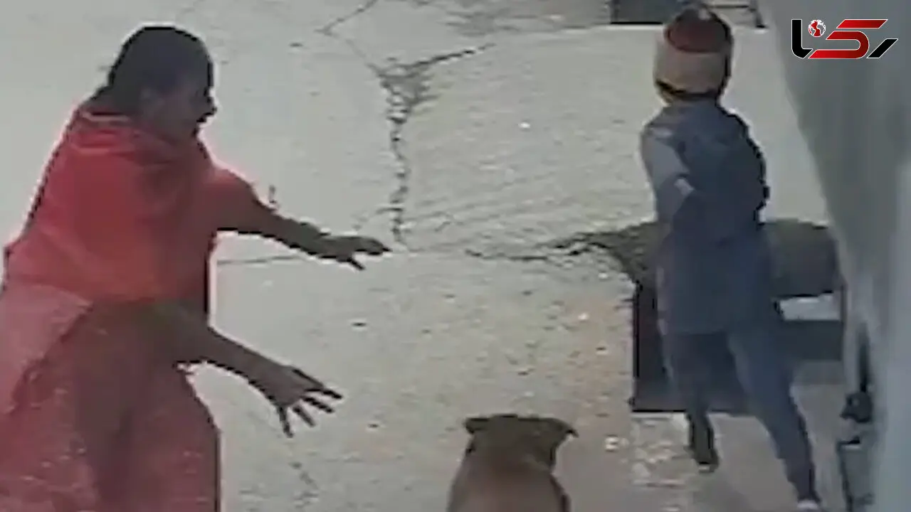 فیلم حمله وحشتناک سگ به کودک در هندوستان
