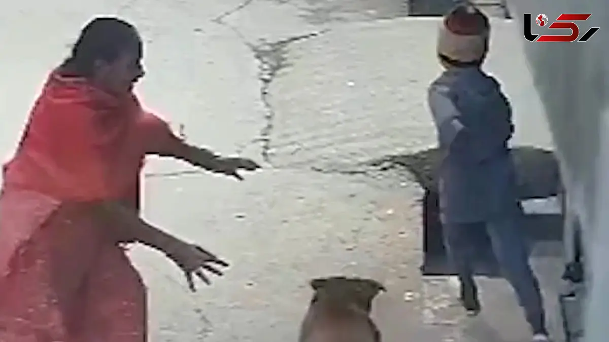 فیلم حمله وحشتناک سگ به کودک در هندوستان