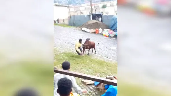 فیلم حمله گاو خشمگین به مرد هندو در خیابان