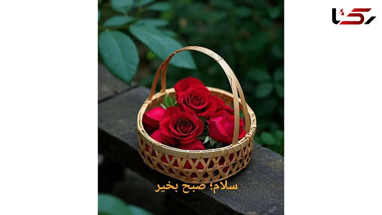 تفسیر فال حافظ امروز 7 دی