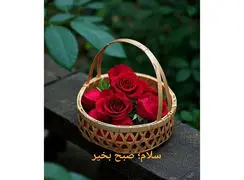 تفسیر فال حافظ امروز 7 دی