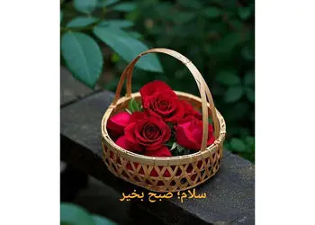 تفسیر فال حافظ امروز 7 دی