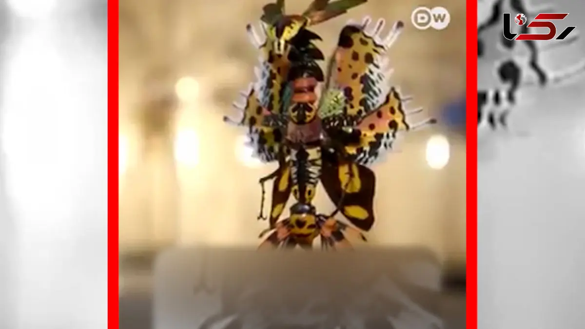 فیلم / پری های فانتزی ساخته شده از حشره های واقعی