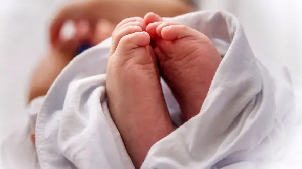 سنگین وزن ترن نوزاد ایران در کاشان متولد شد / وزنش چقدر است؟