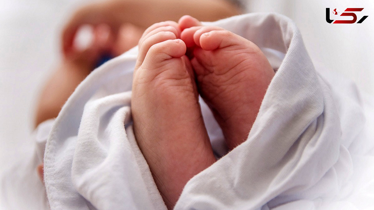 سنگین وزن ترن نوزاد ایران در کاشان متولد شد / وزنش چقدر است؟
