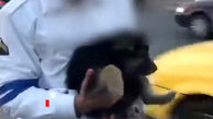 فیلم لحظه نجات سگ توسط پلیس درتهران 