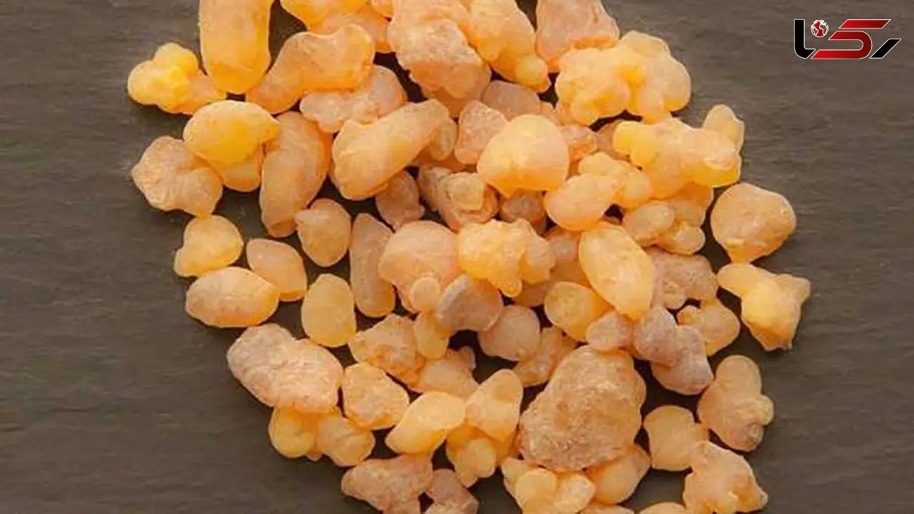 کندر بسوزانید