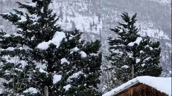 ببینید / بارش شدید برف در روستای زیاز اشکورات رحیم آباد + فیلم