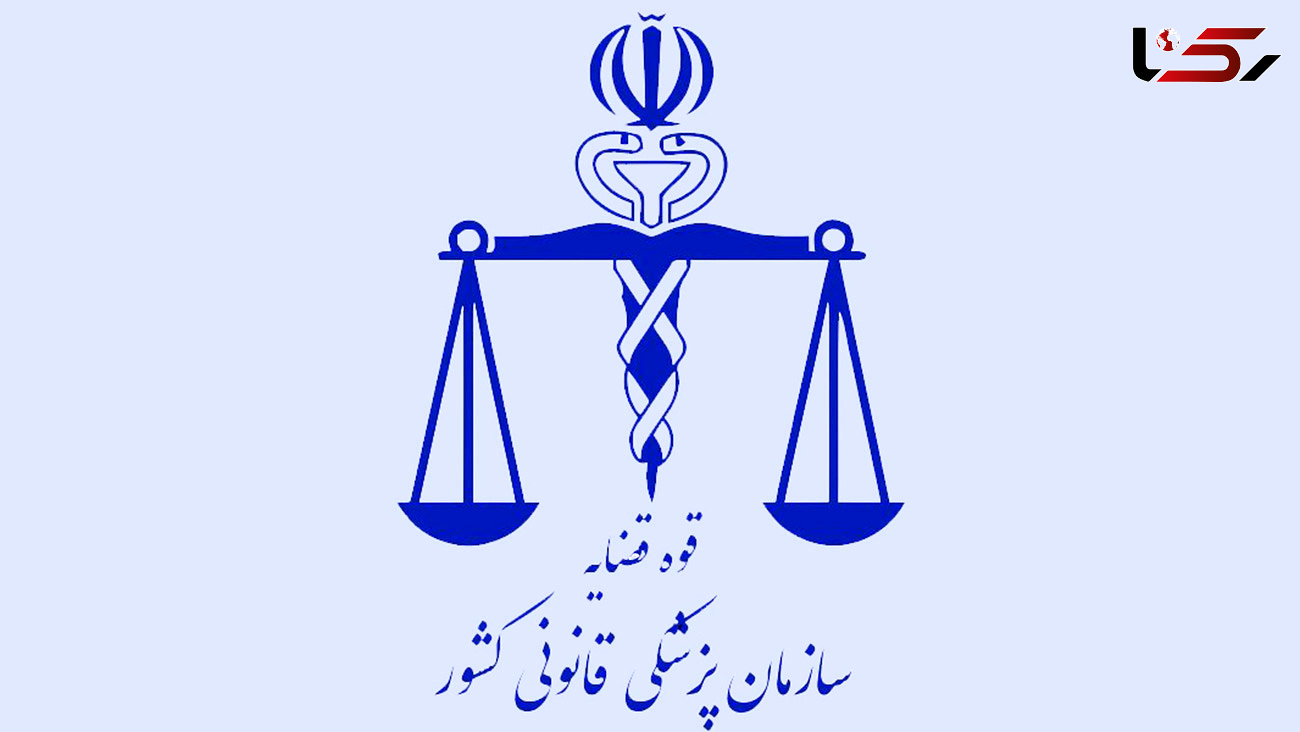 نزاع و دعوا  ۲۲ هزار نفر را به پزشکی قانونی تهران کشاند