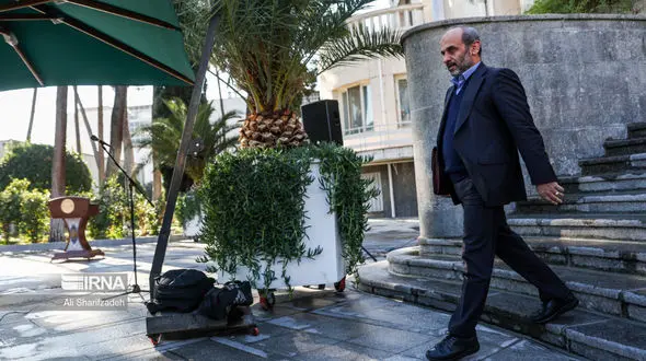 جبلی: هزینه تبلیغات نامزدهای انتخابات به یک چهارم کاهش یافت