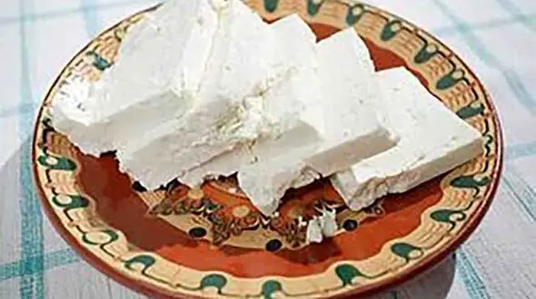 خطر خوردن افراطی پنیر + اینفوگرافی