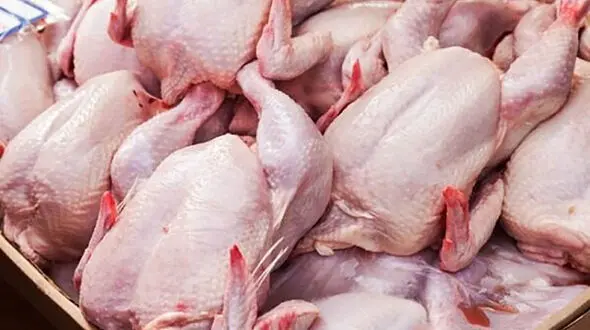 مرغ ۲۵ هزار تومان / با 200 برابر شدن بازهم مدیریت شد !
