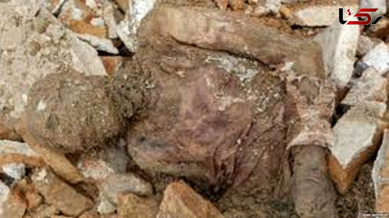 گلایه های فرماندار شهر ری / جسد مومیایی کشف شده با رعایت موازین شرعی دفن شد