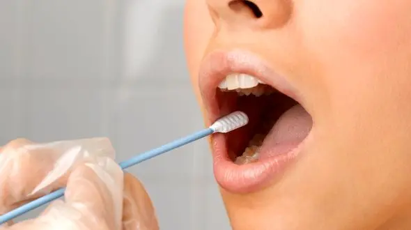 غدد بزاقی چه نقشی در بدن دارند؟