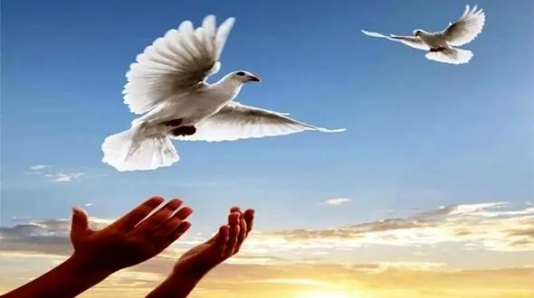 عملیات به‌هنگام پلیس موجب نجات جان جوان زنجانی شد