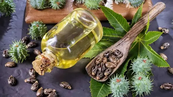 چرا روغن کرچک را در ناف خود بریزیم؟ / اینفوگرافیک