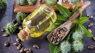 چرا روغن کرچک را در ناف خود بریزیم؟ / اینفوگرافیک