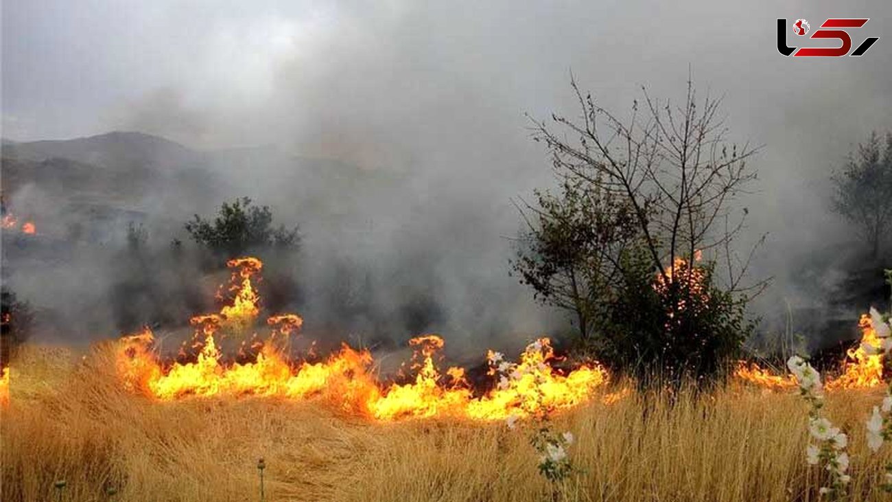 5 سال حبس برای عامل آتش سوزی منابع طبیعی داراب