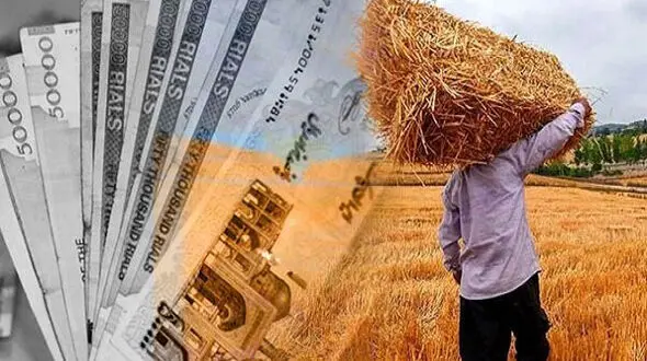 مطالبات گندمکاران هفته آتی تسویه می‌شود
