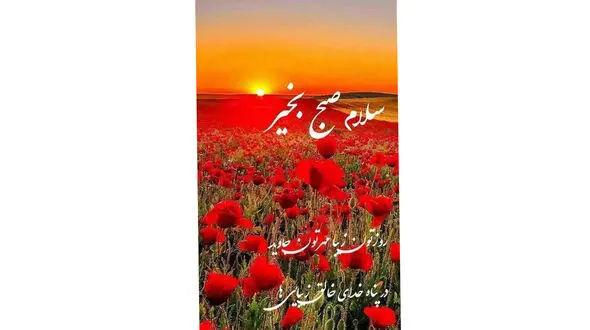 فال روزانه 27 اردیبهشت ماه + فیلم