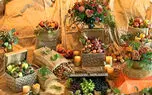 جشن مهرگان چیست؟ از آیین باستانی ایرانیان تا سفره رنگارنگ پاییزی
