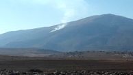آتش سوزی جنگل های زاگرس در منطقه ایذه