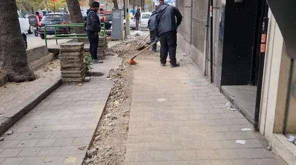 آبیاری قطره ای درختان توسط شهرداری تهران ، به خیابان های ولیعصر و شریعتی رسید + فیلم