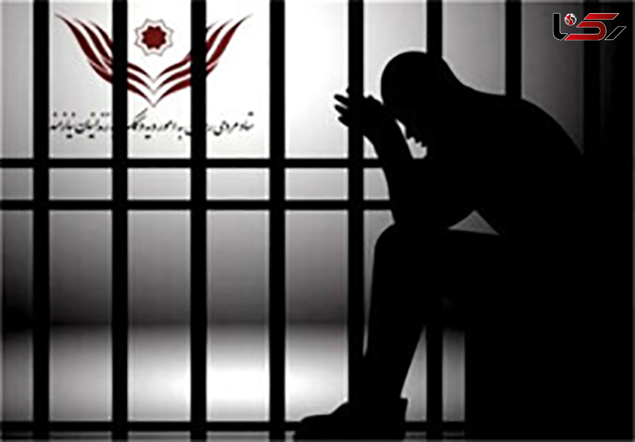 رئیس دادگستری اردبیل: پیگیری جدی مجازات‌های جایگزین حبس در اردبیل هستم